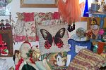 Sale Photo Thumbnail #23