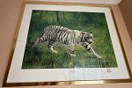 Sale Photo Thumbnail #103