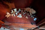 Sale Photo Thumbnail #31