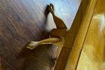Sale Photo Thumbnail #23