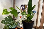 Sale Photo Thumbnail #19