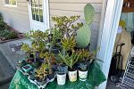 Sale Photo Thumbnail #2