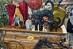 Sale Photo Thumbnail #26