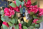 Sale Photo Thumbnail #46