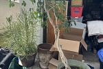Sale Photo Thumbnail #27