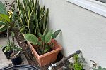Sale Photo Thumbnail #30