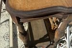 Sale Photo Thumbnail #17