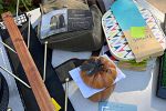 Sale Photo Thumbnail #15