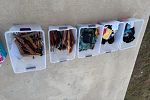 Sale Photo Thumbnail #18