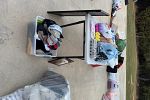 Sale Photo Thumbnail #12