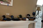 Sale Photo Thumbnail #46