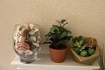 Sale Photo Thumbnail #33