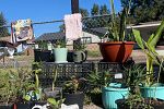 Sale Photo Thumbnail #2