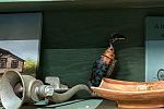 Sale Photo Thumbnail #12