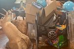 Sale Photo Thumbnail #4