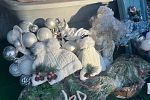 Sale Photo Thumbnail #4