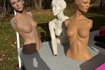 Sale Photo Thumbnail #15