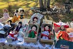 Sale Photo Thumbnail #6