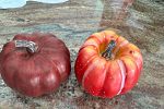 Sale Photo Thumbnail #20