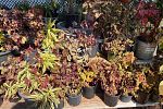 Sale Photo Thumbnail #18
