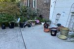 Sale Photo Thumbnail #59