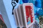 Sale Photo Thumbnail #18