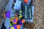 Sale Photo Thumbnail #29