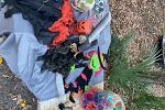Sale Photo Thumbnail #30