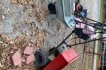 Sale Photo Thumbnail #40