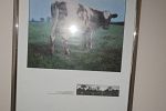 Sale Photo Thumbnail #27