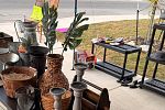 Sale Photo Thumbnail #12