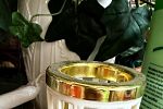 Sale Photo Thumbnail #64
