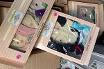 Sale Photo Thumbnail #1