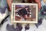 Sale Photo Thumbnail #14