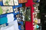Sale Photo Thumbnail #28