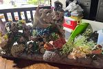 Sale Photo Thumbnail #5