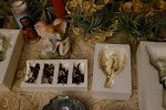 Sale Photo Thumbnail #19