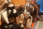Sale Photo Thumbnail #6