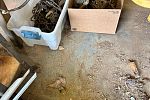 Sale Photo Thumbnail #26