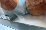 Sale Photo Thumbnail #41