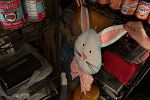 Sale Photo Thumbnail #17