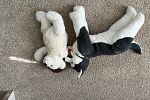 Sale Photo Thumbnail #11