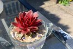 Sale Photo Thumbnail #8