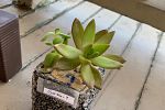 Sale Photo Thumbnail #10