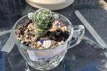 Sale Photo Thumbnail #9