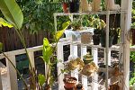 Sale Photo Thumbnail #48