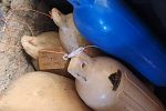 Sale Photo Thumbnail #15