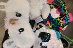 Sale Photo Thumbnail #6