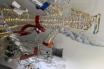 Sale Photo Thumbnail #18