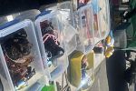 Sale Photo Thumbnail #12